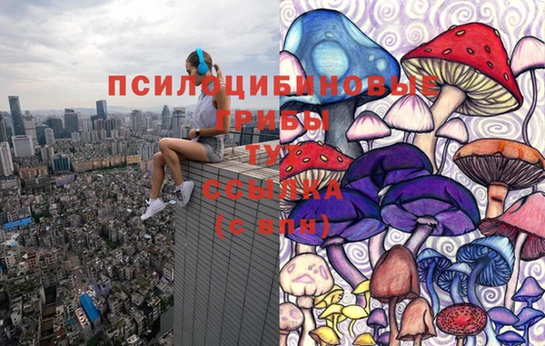 эйфоретик Тавда
