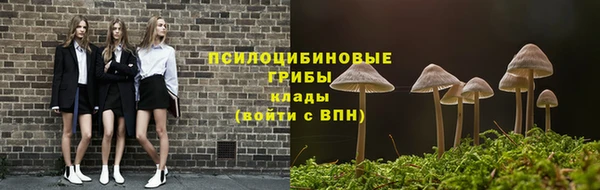 не бодяженный Сясьстрой