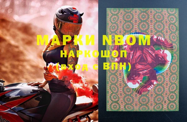 эйфоретик Тавда