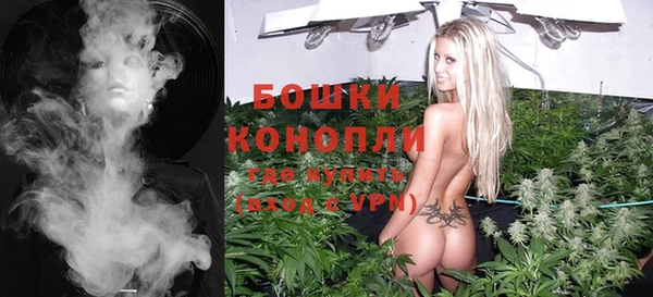 тгк Тайга