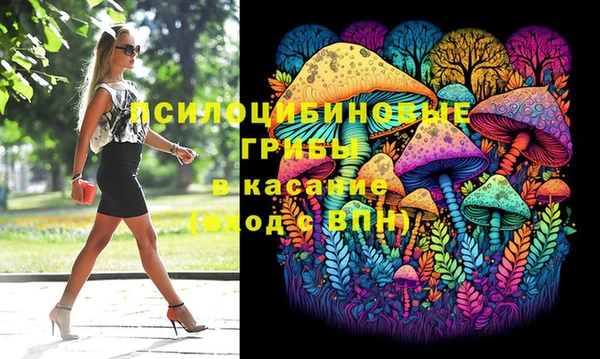 эйфоретик Тавда