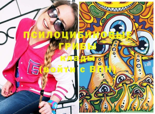 не бодяженный Сясьстрой