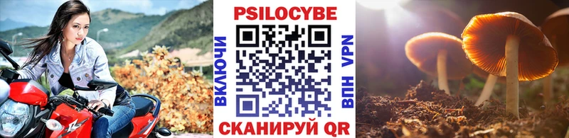 Галлюциногенные грибы GOLDEN TEACHER Хилок