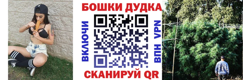 Бошки марихуана THC 21%  продажа наркотиков  Хилок 